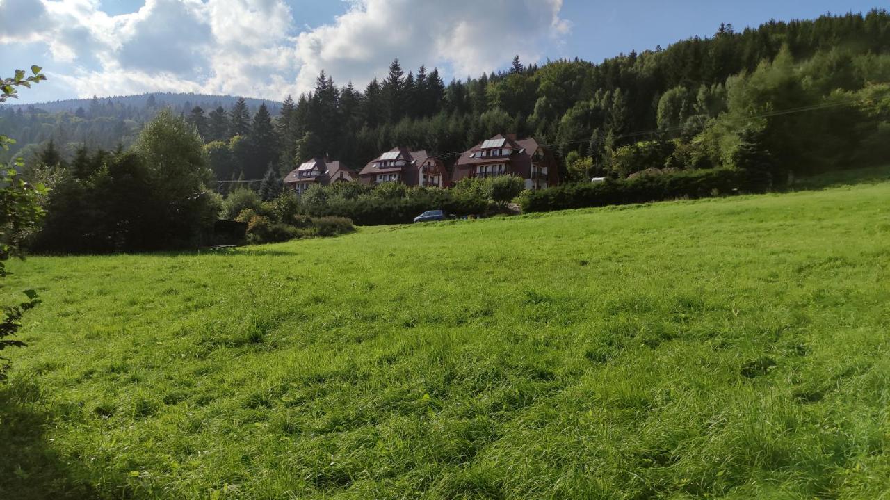 Apartamenty Kletno Stronie Slaskie Bagian luar foto