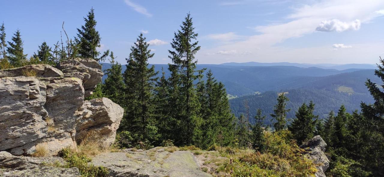 Apartamenty Kletno Stronie Slaskie Bagian luar foto